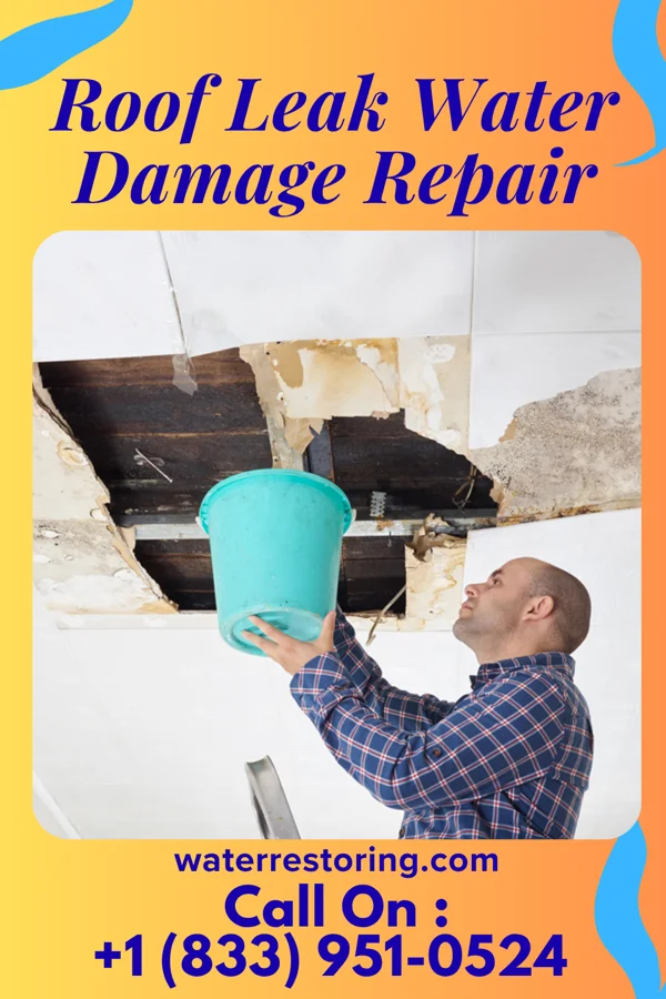 Roof Leak Water Damage Repair in Reno, TX